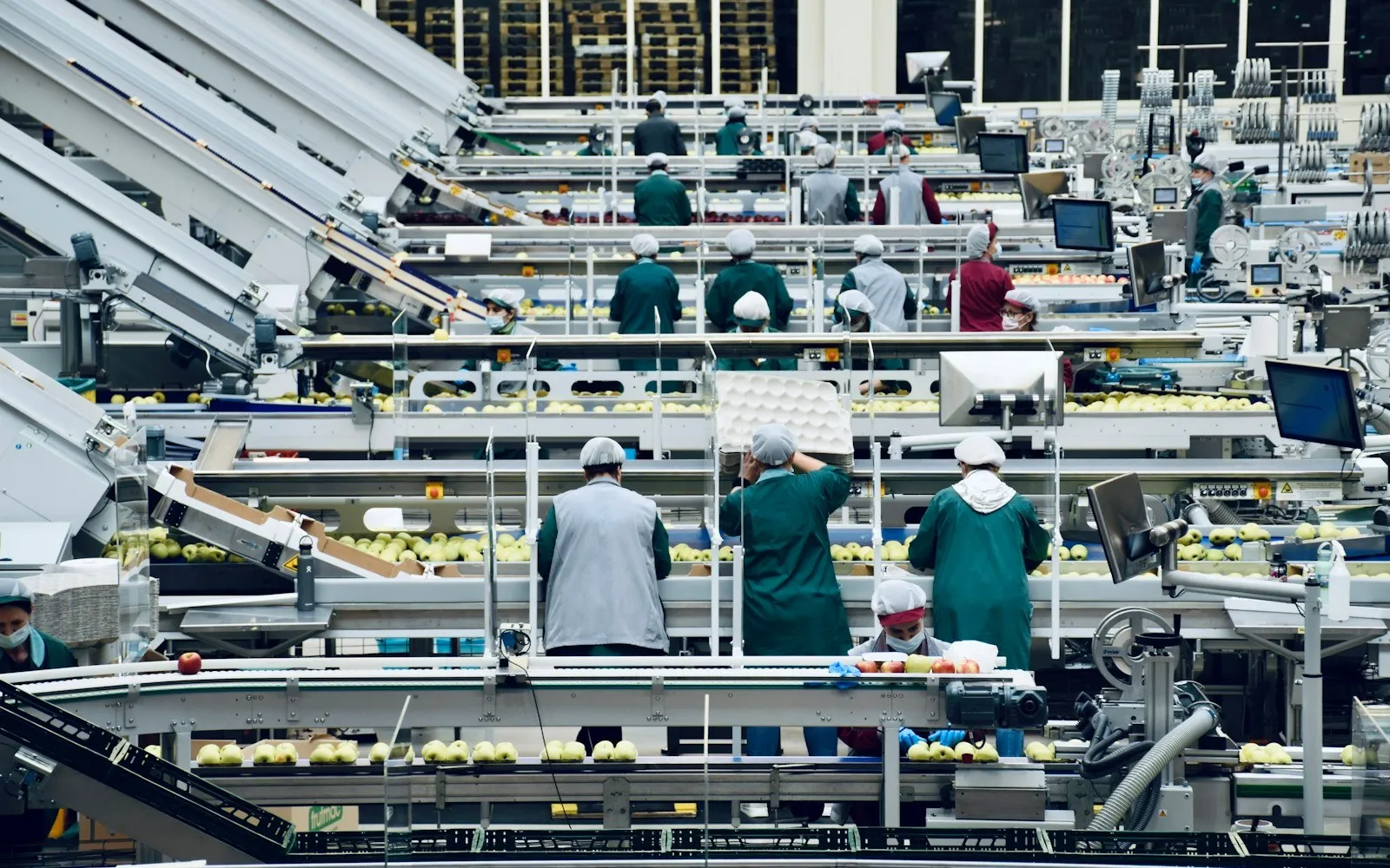 Workers in hairnets along a produce processing and packing line